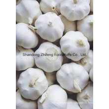 2016 Fresh Normal White Garlic